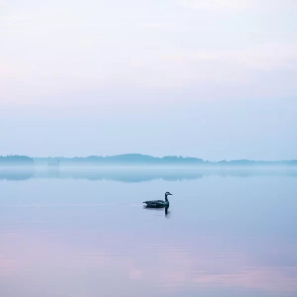 stories-YhM7-myr4qM-unsplash